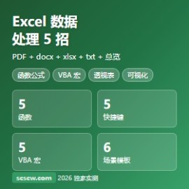 Excel 数据处理 5 招完整版速查手册 PDF docx xlsx 脚本独家实测