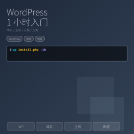 WordPress 入门：1 小时装好个人站（域名 / 主机 / 安装 / 主题 / 必备插件）
