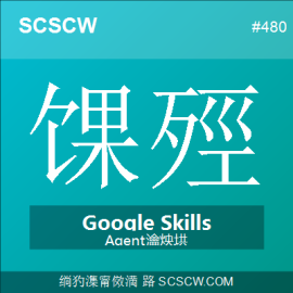 Google Agent Skills 中文实战教程，官方技能包深度应用